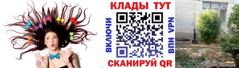 Купить наркоту Томари Кокаин  Псилоцибиновые грибы  МДМА  ГАШ  Каннабис  APVP  Меф 