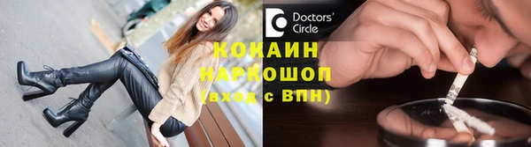 твердый Михайлов