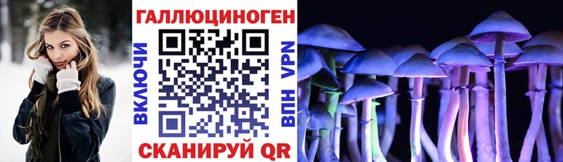 ссылка на мегу ТОР  Томари  Галлюциногенные грибы Magic Shrooms  купить наркотик 